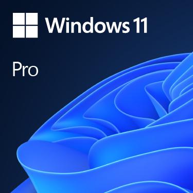 Microsoft Windows 11 Pro - Licence - DVD/OEM